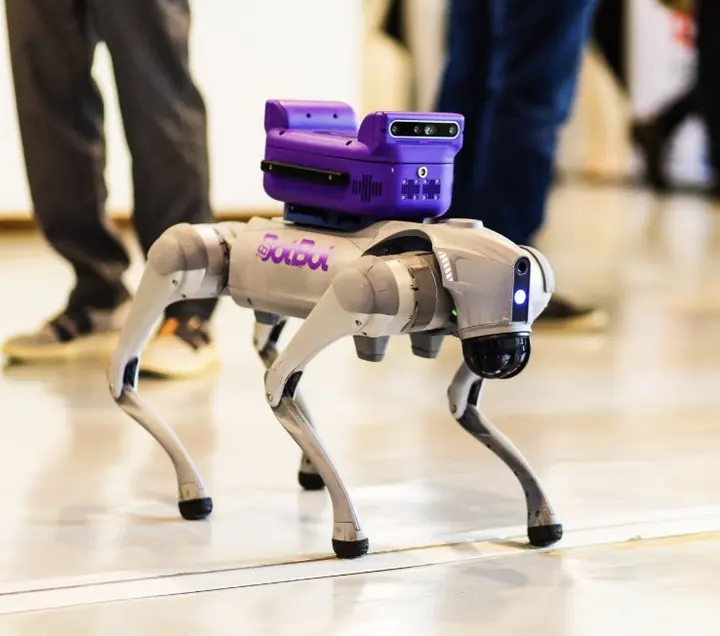 BotBot