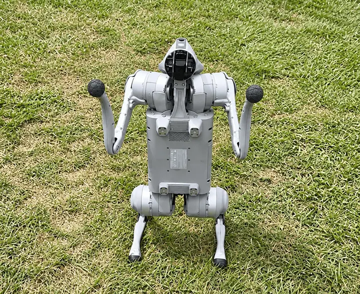 TIGON Robotics